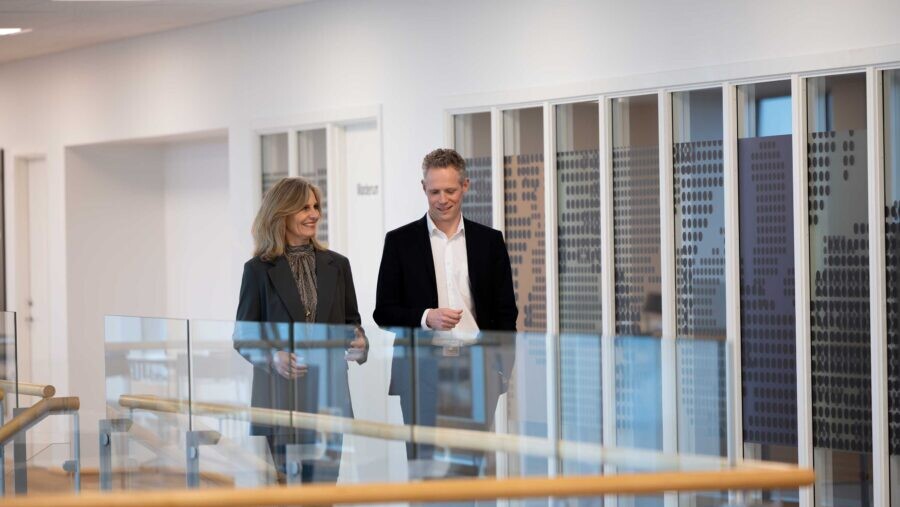 Revisorer og statsautoriserede revisorer med stor erfaring