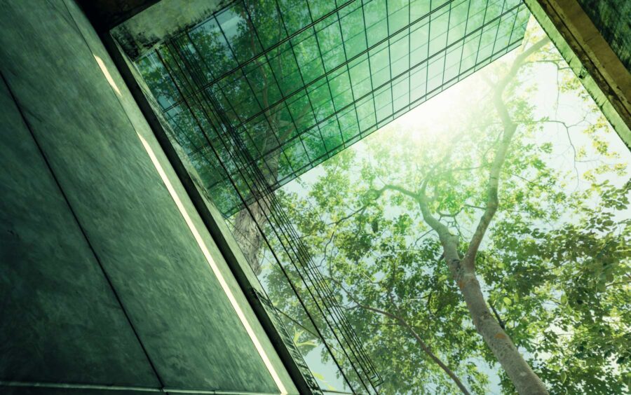 Hvem skal lave ESG-rapportering?