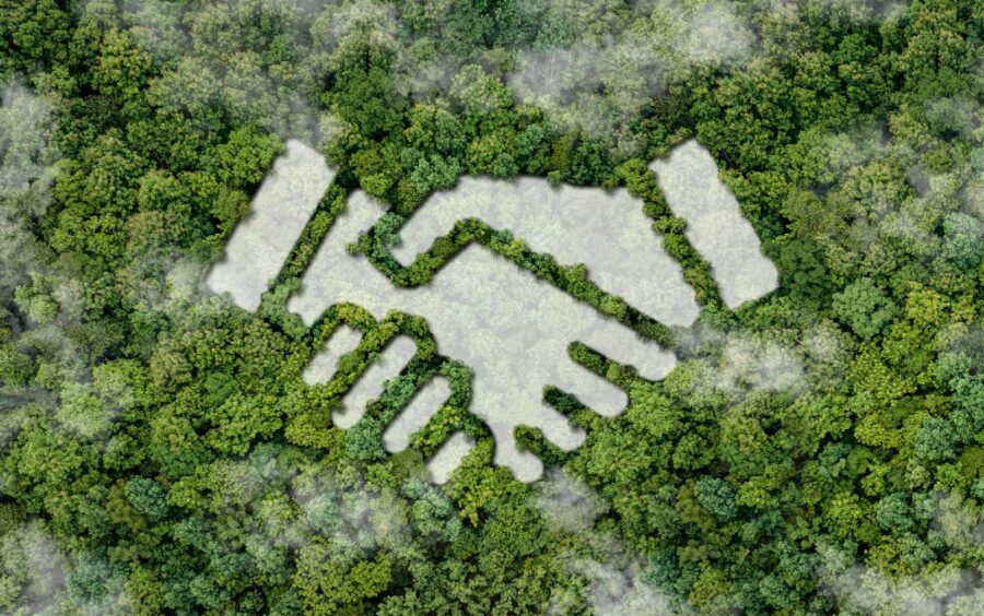 Sådan skal du forholde dig til ESG i dag, hvis du ikke er underlagt lovgivningen